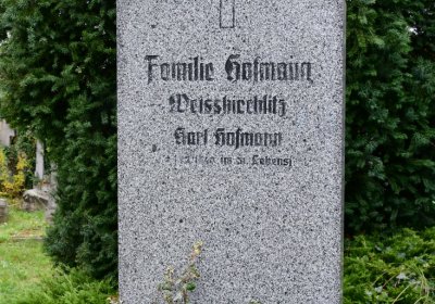 Novosedlice, Omnium, 2020