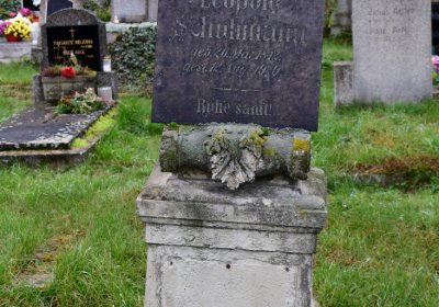 Novosedlice, Omnium, 2020