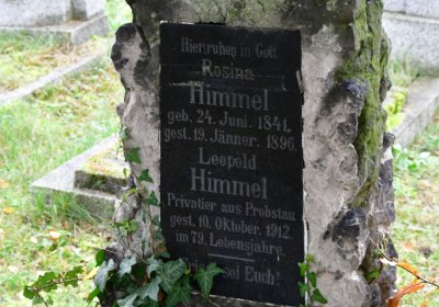 Novosedlice, Omnium, 2020