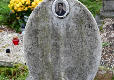 Novosedlice, Omnium, 2020