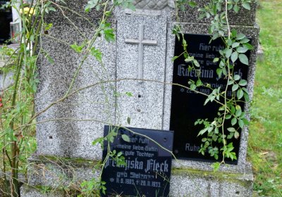 Novosedlice, Omnium, 2020