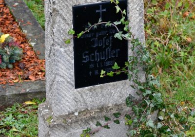 Novosedlice, Omnium, 2020