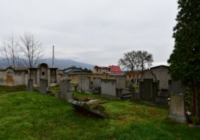 Novosedlice, Omnium, 2020