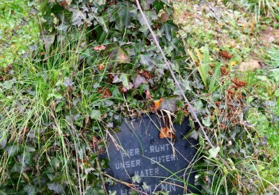 Novosedlice, Omnium, 2020