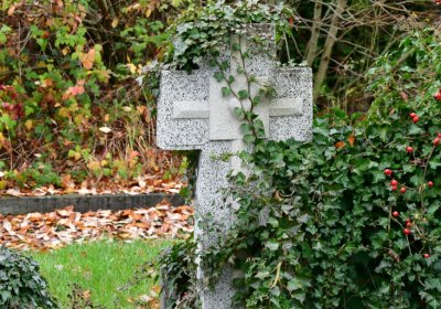 Novosedlice, Omnium, 2020