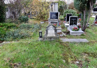 Novosedlice, Omnium, 2020