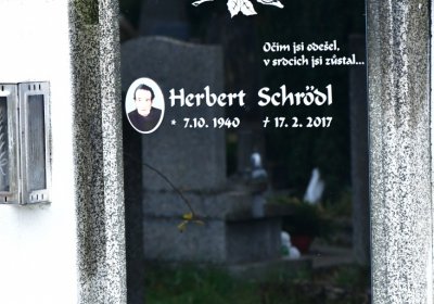 Novosedlice, Omnium, 2020