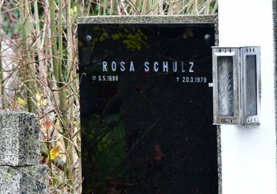 Novosedlice, Omnium, 2020