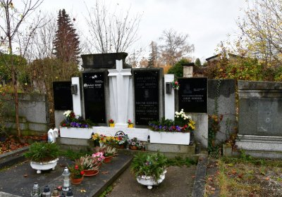 Novosedlice, Omnium, 2020