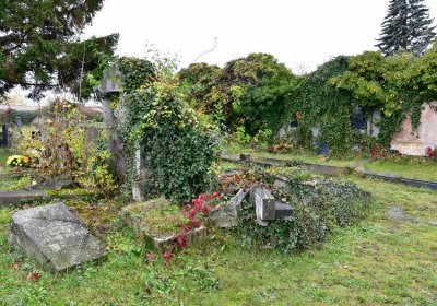 Novosedlice, Omnium, 2020