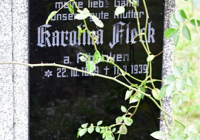 Novosedlice, Omnium, 2020