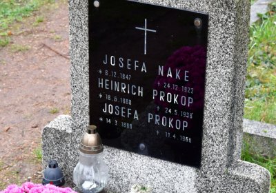 Novosedlice, Omnium, 2020