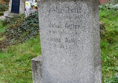 Novosedlice, Omnium, 2020