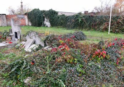 Novosedlice, Omnium, 2020