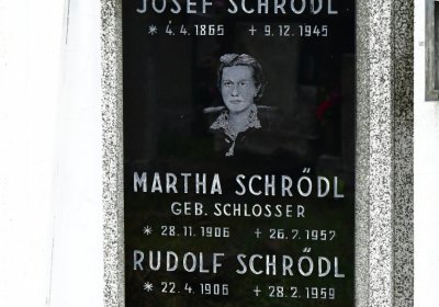 Novosedlice, Omnium, 2020