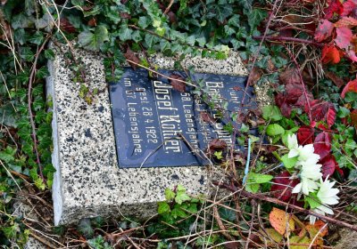 Novosedlice, Omnium, 2020