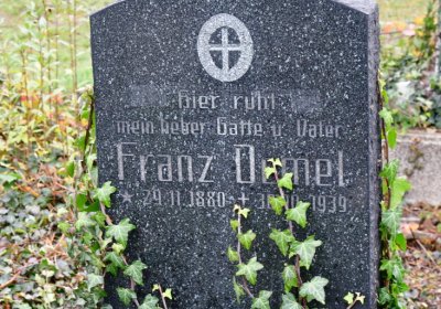 Novosedlice, Omnium, 2020