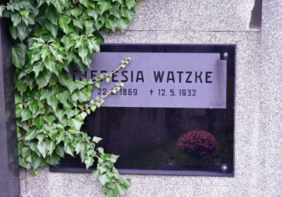 Novosedlice, Omnium, 2020