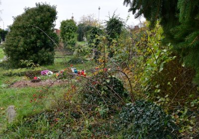 Novosedlice, Omnium, 2020