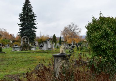 Novosedlice, Omnium, 2020