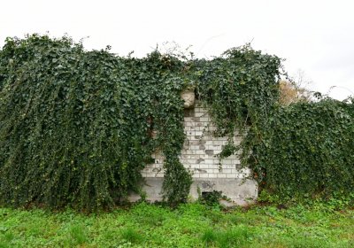 Novosedlice, Omnium, 2020