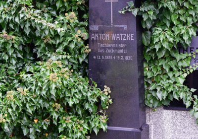 Novosedlice, Omnium, 2020