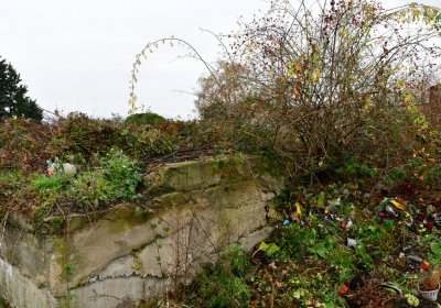 Novosedlice, Omnium, 2020