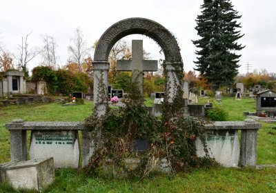 Novosedlice, Omnium, 2020