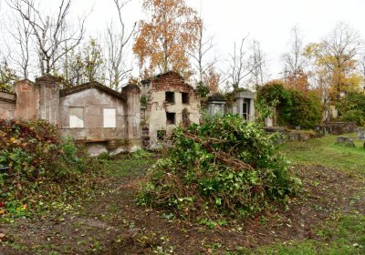 Novosedlice, Omnium, 2020