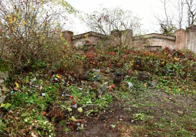 Novosedlice, Omnium, 2020