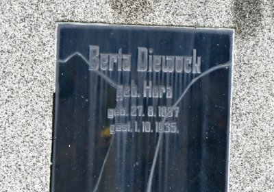 Novosedlice, Omnium, 2020