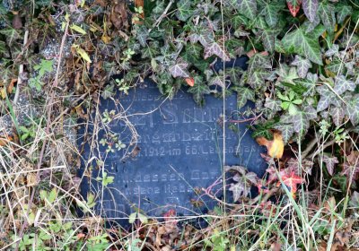 Novosedlice, Omnium, 2020