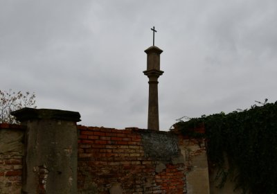 Novosedlice, Omnium, 2020