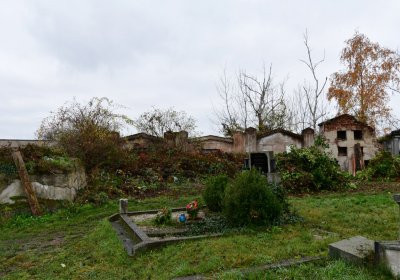 Novosedlice, Omnium, 2020