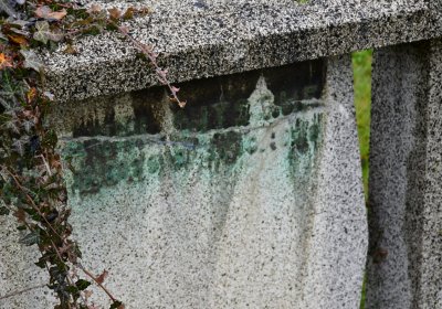 Novosedlice, Omnium, 2020