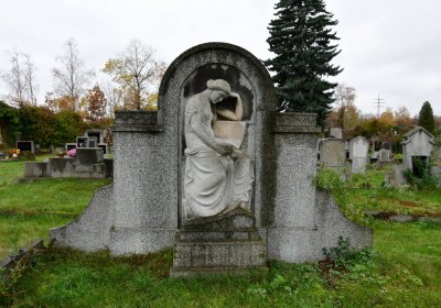 Novosedlice, Omnium, 2020