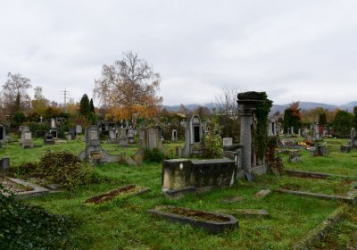 Novosedlice, Omnium, 2020