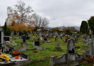 Novosedlice, Omnium, 2020