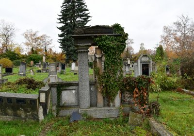 Novosedlice, Omnium, 2020