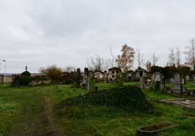 Novosedlice, Omnium, 2020