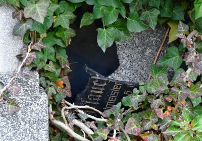 Novosedlice, Omnium, 2020