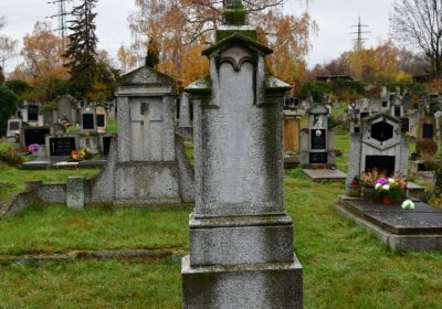 Novosedlice, Omnium, 2020