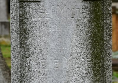 Novosedlice, Omnium, 2020