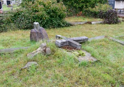 Novosedlice, Omnium, 2020