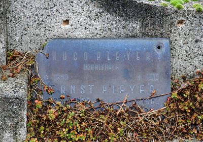 Novosedlice, Omnium, 2020