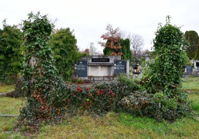 Novosedlice, Omnium, 2020