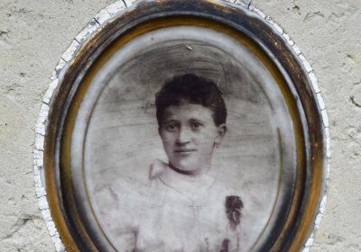 Novosedlice, Omnium, 2020