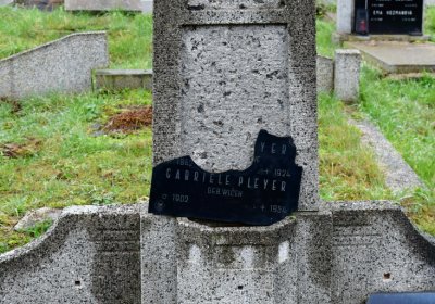 Novosedlice, Omnium, 2020