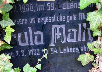 Novosedlice, Omnium, 2020