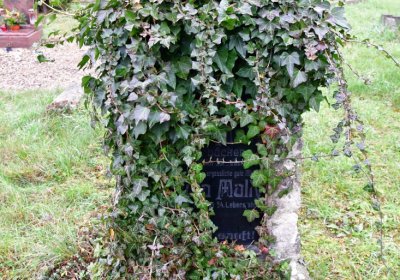 Novosedlice, Omnium, 2020